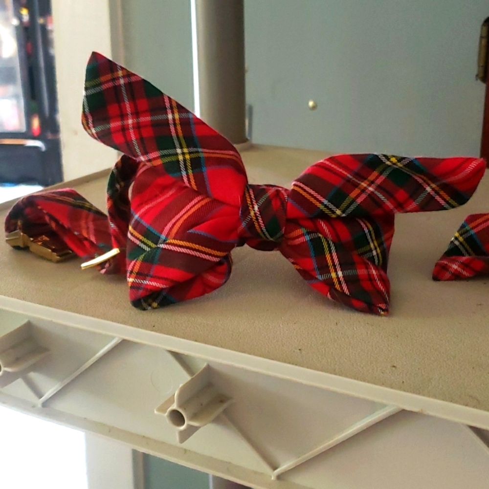 The foggy dog collar